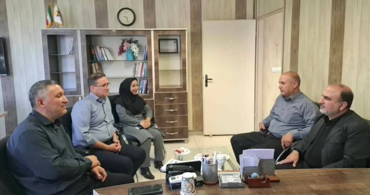 پرتفوی تجمیعی بیمه ای وزارت نیرو" شرکت توزیع برق " زنجان به بیمه دی رسید