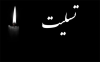 پیام مدیرعامل بانک کشاورزی در پی شهادت جمعی از کارکنان این بانک و خانواده‌های آنان در جنگ رمضان