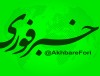 رشد ۴۵ درصدی سود سپرده‌های ملل